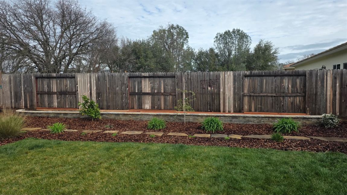 Backyard planting bed of red bark mulch with new shrubs and a young tree, flagstone stepping stones, and a low stone-faced wall along a weathered fence