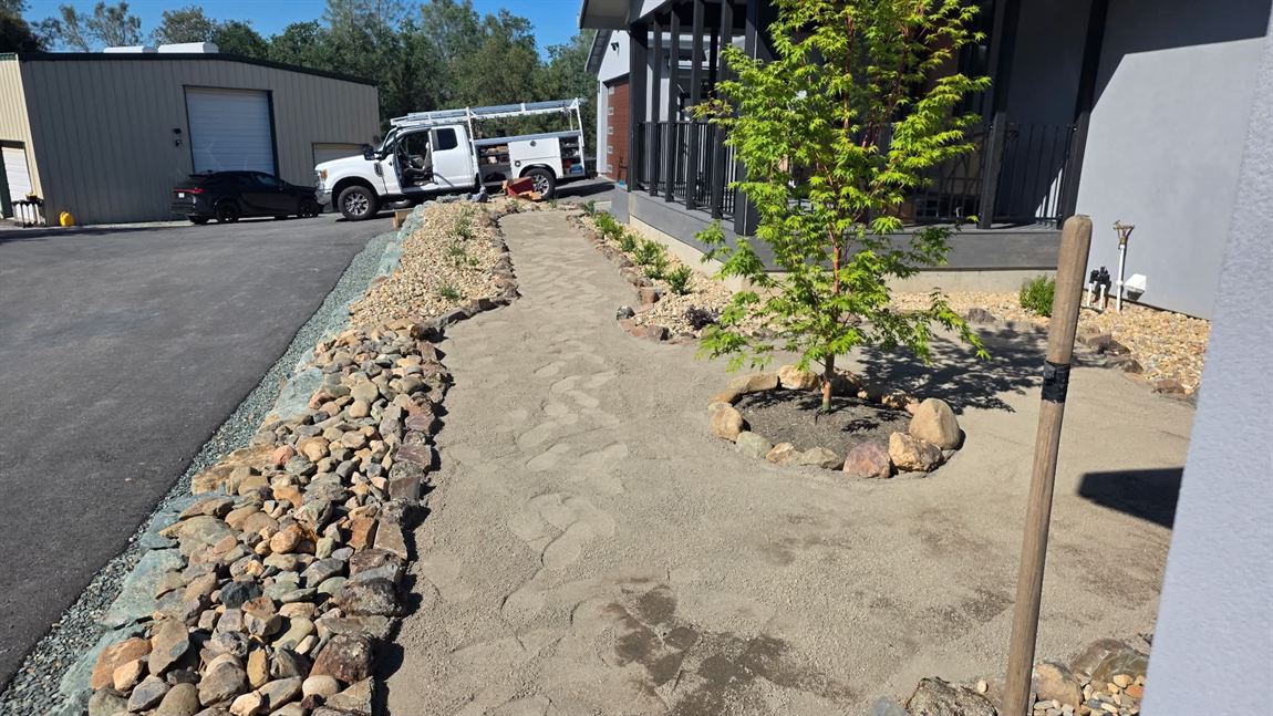Dry creek bed of hand-set cobble edged with green crushed rock running along an asphalt drive, beside a graded decomposed-granite bed and a young Japanese maple ringed with boulders